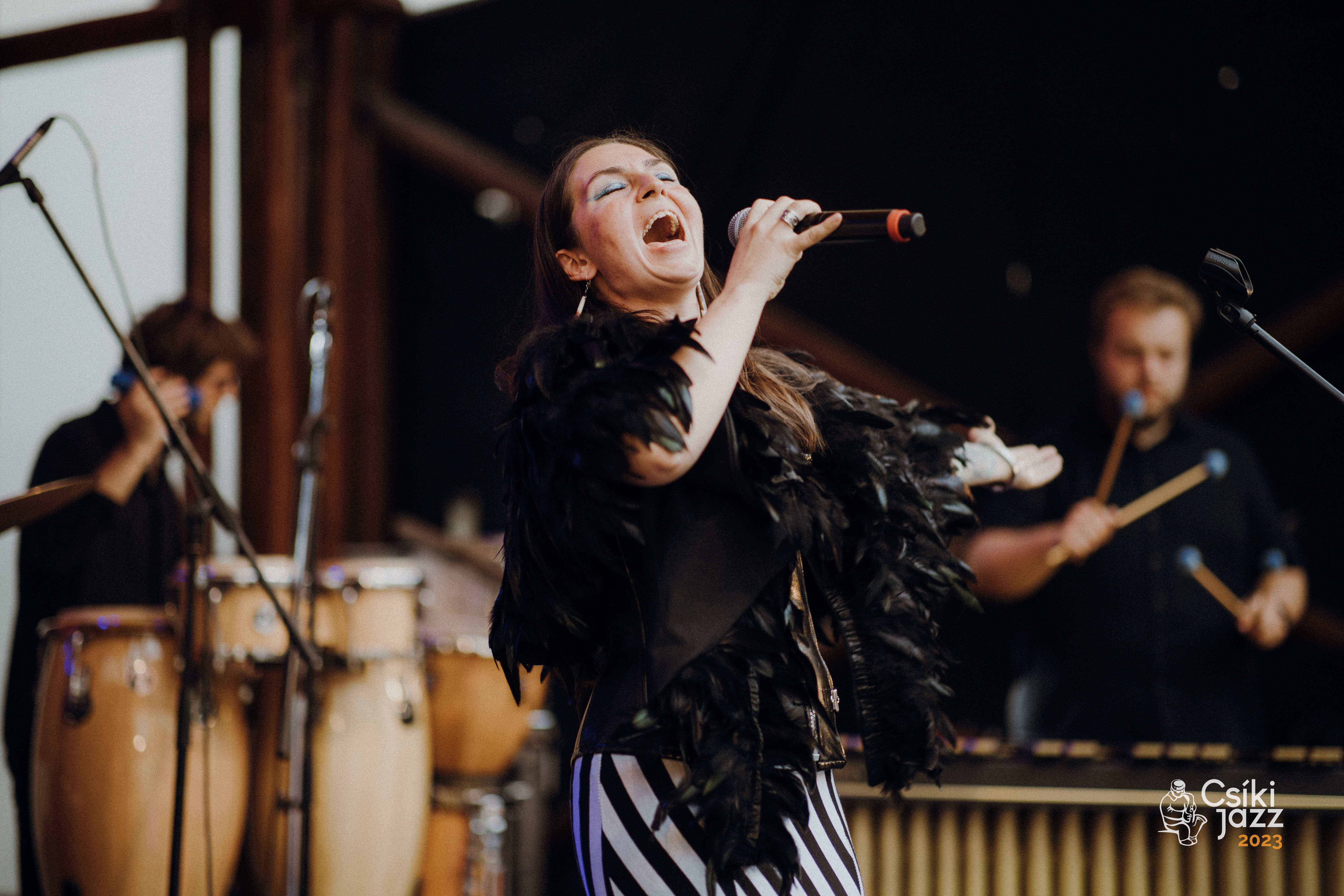 Luiza Zan Csiki Jazz.JPG
